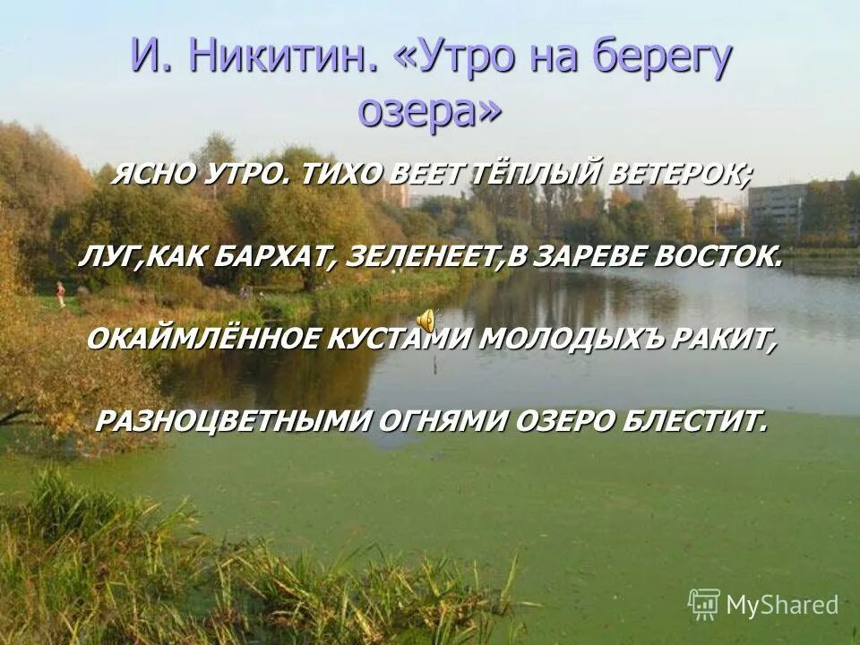 Предложение озеро блестело. Стихи Никитина утро на берегу озера. Никитин утро. Никитина утро на берегу озера. Стихотворение утро Никитин.