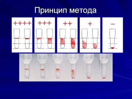 Что означает принцип метода