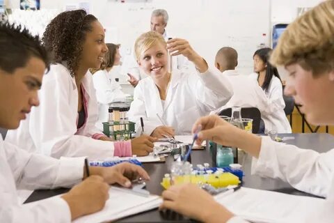 Des professeurs