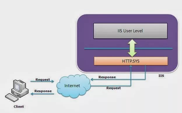 Http levels com. IIS сервер. Архитектура IIS. IIS картинка. Веб-приложение IIS.