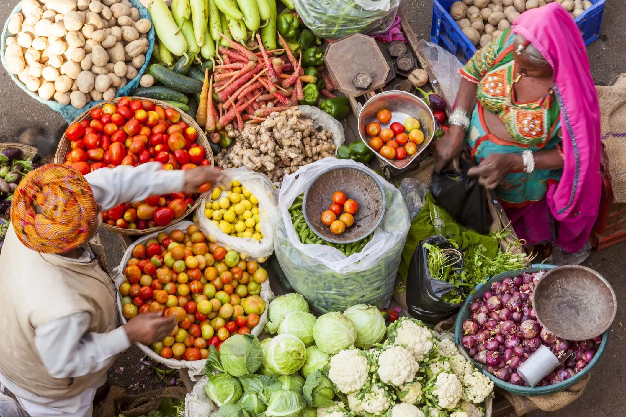 Можно ли есть в индии. Древняя индия вегетарианство. pure vegetarian в индии. индийские овощи. вегетарианство в индии.