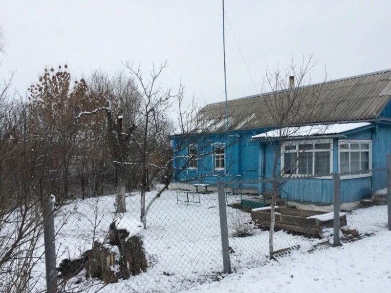 Погода на 2 недели новомарковка. Погода на 2 недели новомарковка. Погода на 2 недели новомарковка. Лес в кантемировке. Насыпь фото.