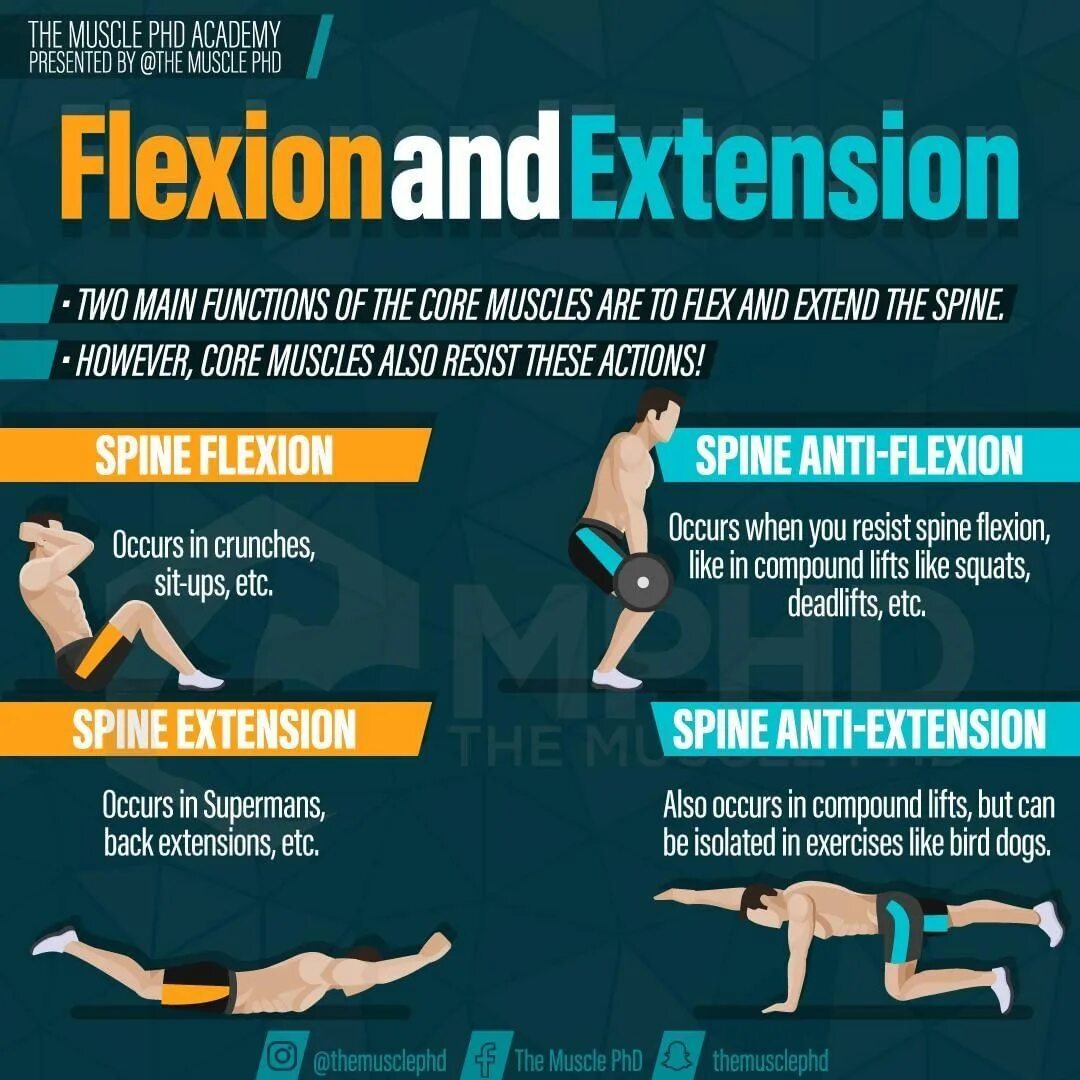 Exercise translate. Anti-extension. перевести back extensions. переводится exercise. upper spine exercise no equipment.