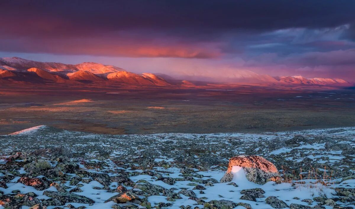 Американская тундра. Арктическая тундра. Климат тундры. Арктика тундра.