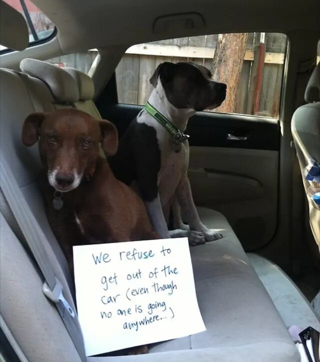 Refuse we have