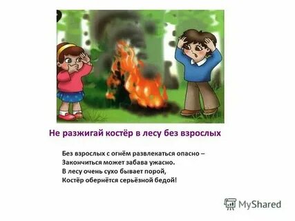 Турист разжег костер в безветренную погоду