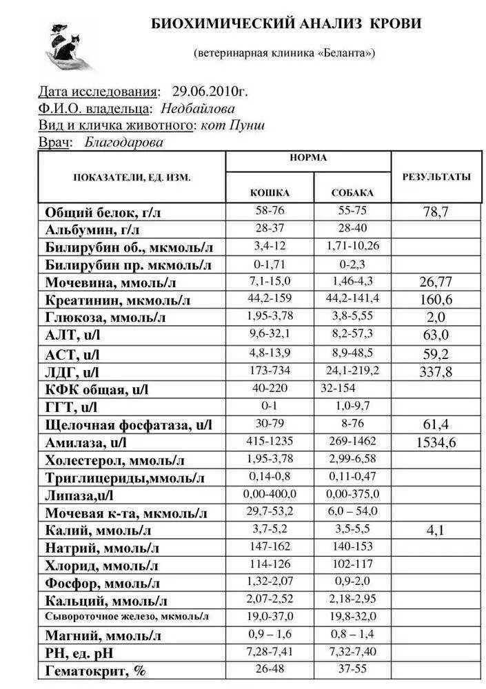 Биохимический анализ крови 5. Биохимический анализ анализ крови показатели. Нормальные показатели биохимического анализа крови. Нормы при биохимическом анализе крови. .Биохимия крови нормы биохимия.