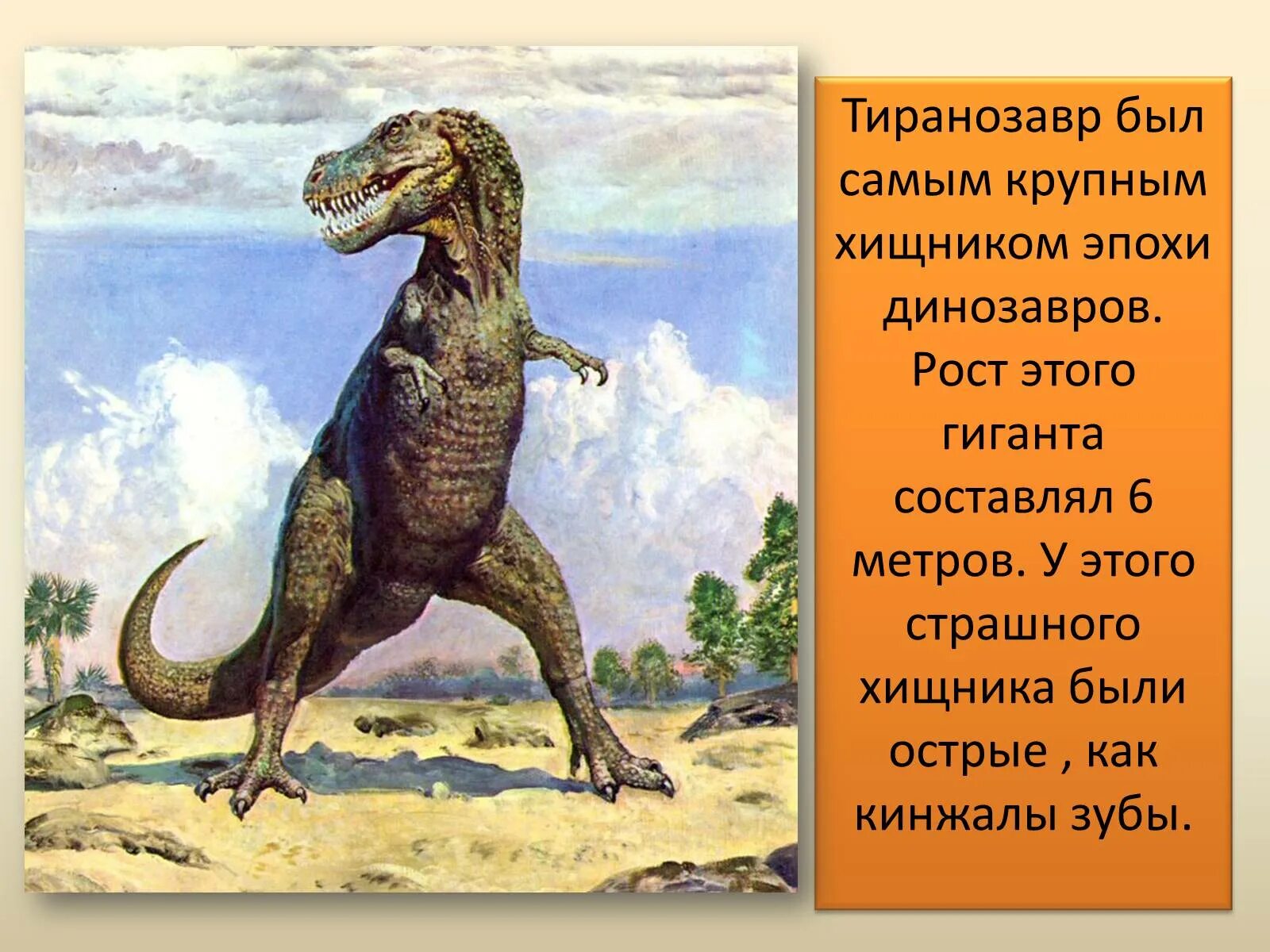 Сообщение о динозаврах 1. Сообщение о динозаврах. Рассказ про динозавров. Загадки про динозавров. Доклад про динозавров.