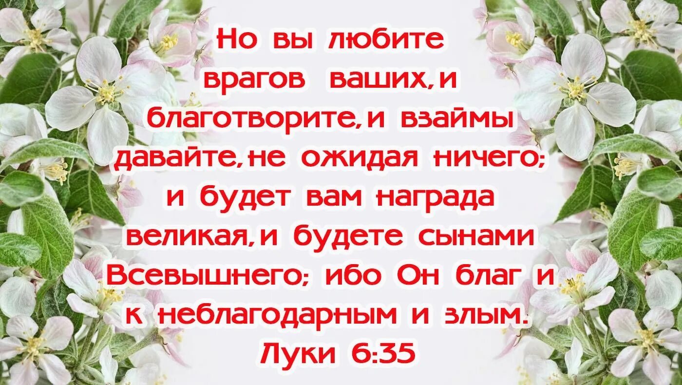 Текст любовь книга божья. Христианские открытки и ободрения. Библейские стихи. Христианские открытки о любви к ближнему. Стихи из Библии.