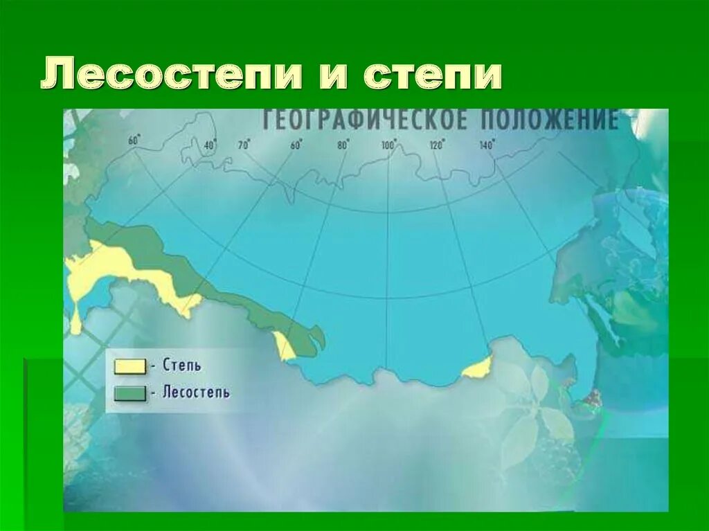 Где находятся лесостепи и степи. Географическое положение степи. Географическое расположение лесостепи. Географическое положение степи в России. Степи и лесостепи на карте России.