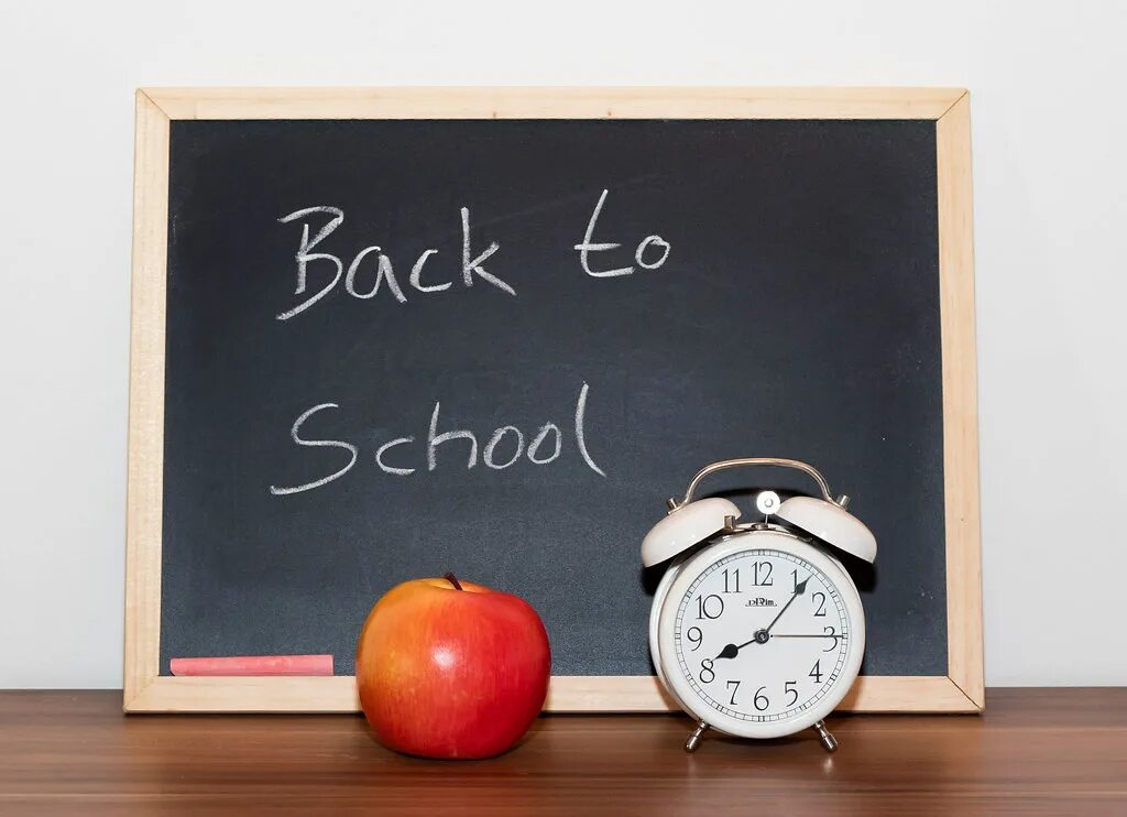 Back to class. Back to school theme. back to school time. сокращенный учебный день. school back.