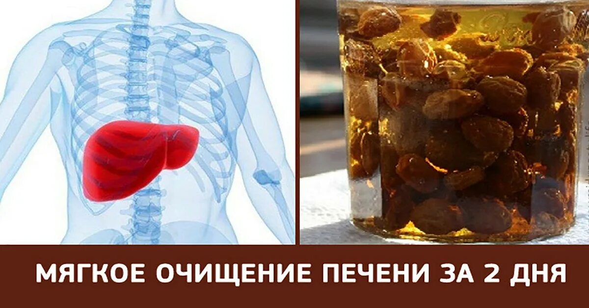 Очистка печени народными. Чистим печень. Печень и токсины шлаки.