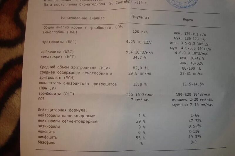 Анализ крови при орви. ОАК при остром бронхите. Общий анализ крови при бронхите у ребенка. Анализ крови при бронхите у ребенка показатели. Анализ крови при остром бронхите показатели.