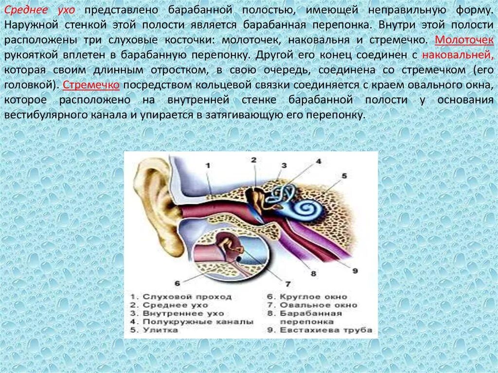 Давление в среднем ухе атмосферное