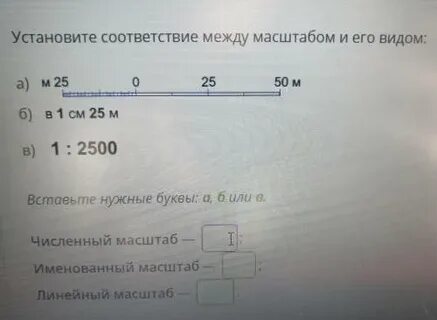 Установите соответствие между м