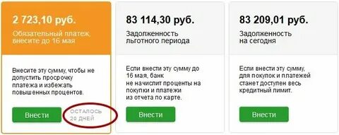 Почему не пришли деньги хамстер