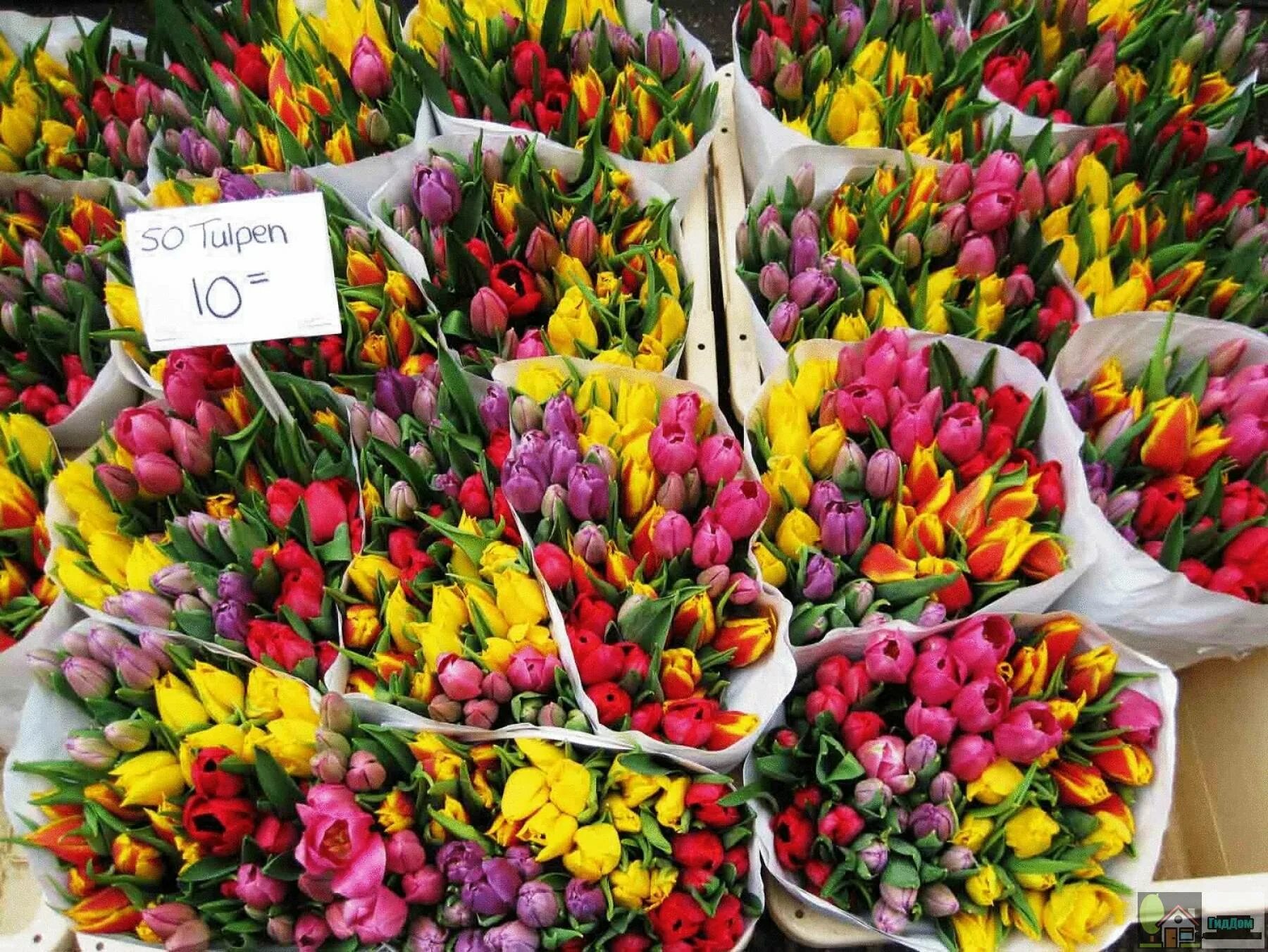 Амстердам тюльпаны. Floreville ФЛОРЭВИЛЬ. Голландский рынок цветов. Букеты на рынке тюльпаны.