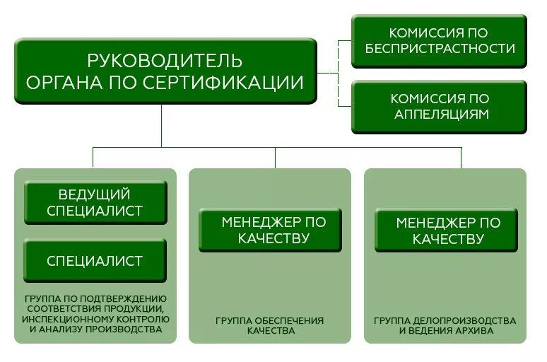 Структура органа по сертификации продукции. Организационная структура органа по сертификации продукции. Иерархия органов по сертификации. Организационная схема органа по сертификации. Органы по сертификации являются