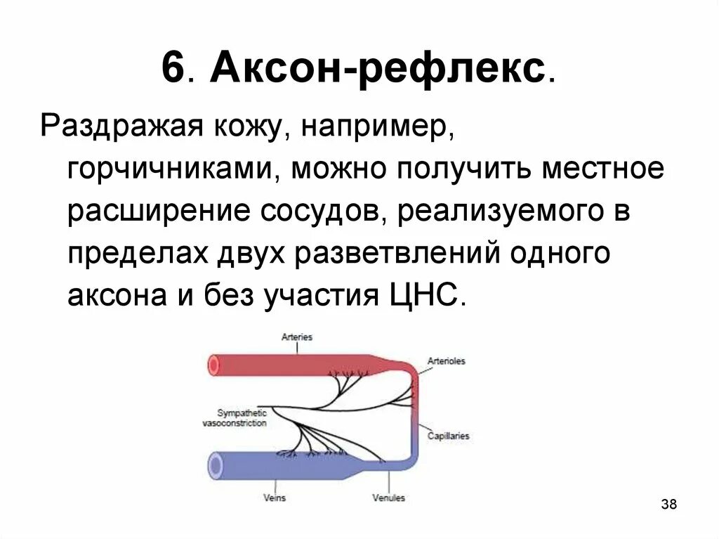 Аксон рефлекс. Аксон рефлекс физиология схема. Аксонный рефлекс. Понятие об Аксон рефлексе физиология. Аксон рефлекс сосуды.