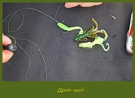 Ловля судака на дроп шот