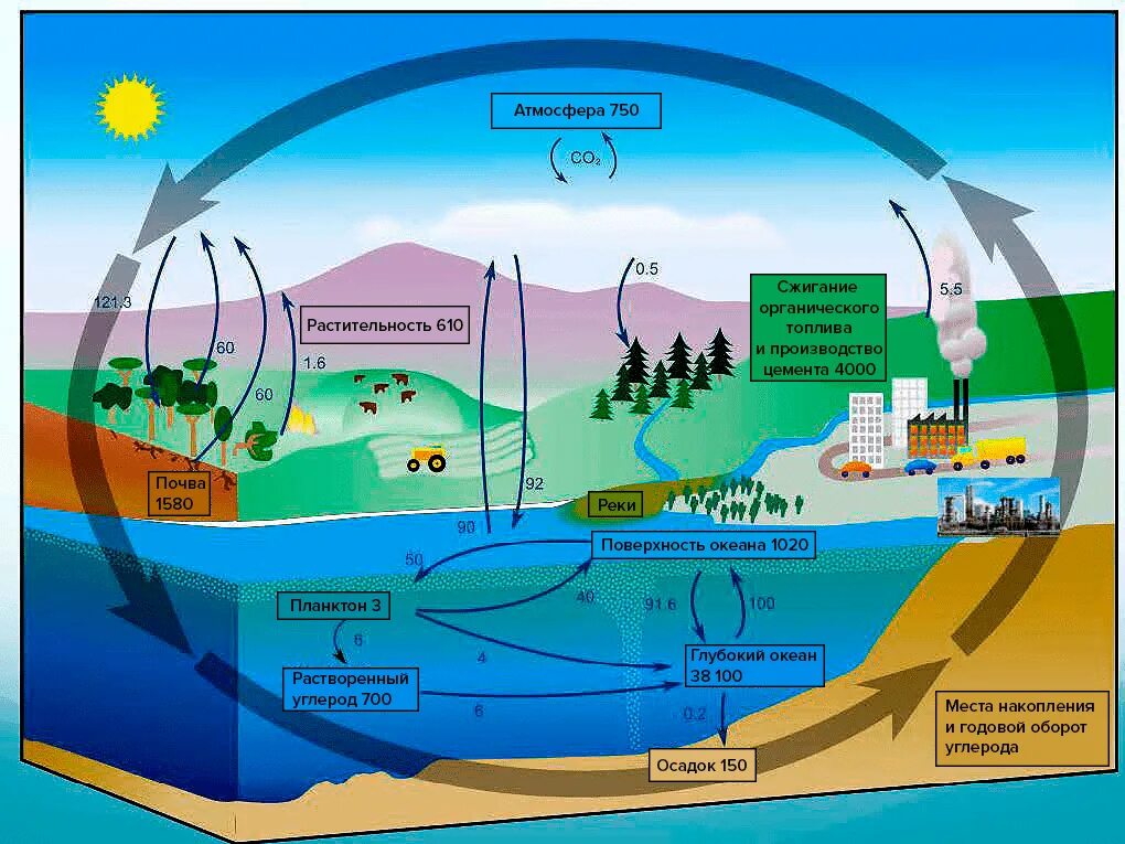 Углекислый газ функции в биосфере. Биохимический круговорот углерода. Биогеохимические циклы круговорот углерода. Круговорот углерода в природе про ГАЗ. Биогеохимические круговороты круговорот углерода кислорода.