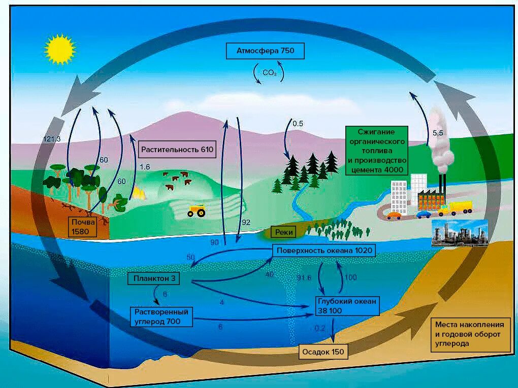 Экосистемы круговорот углерода. Биохимический круговорот углерода. Биогеохимические циклы круговорот углерода. Круговорот углерода в природе про ГАЗ. Биогеохимические круговороты круговорот углерода кислорода.