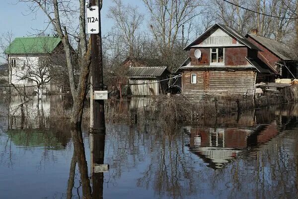 Погода в тосно по часам. Тосно 2 река. Разлив реки Тосно. Половодье в Тосно. Паводок в Тосно.