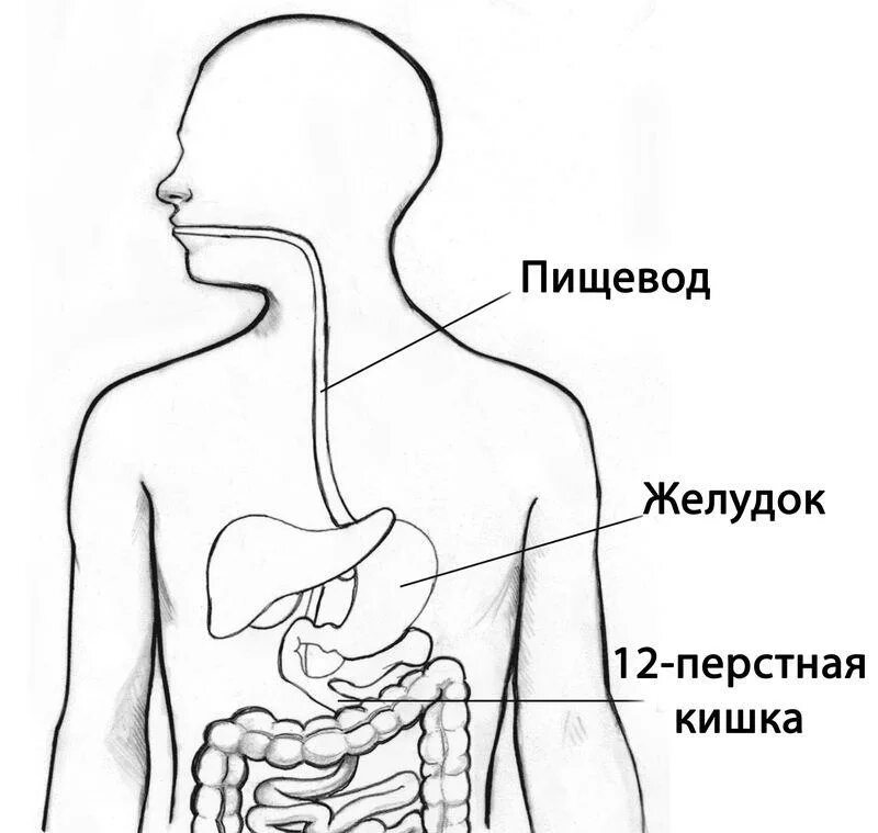 Где находится картинки