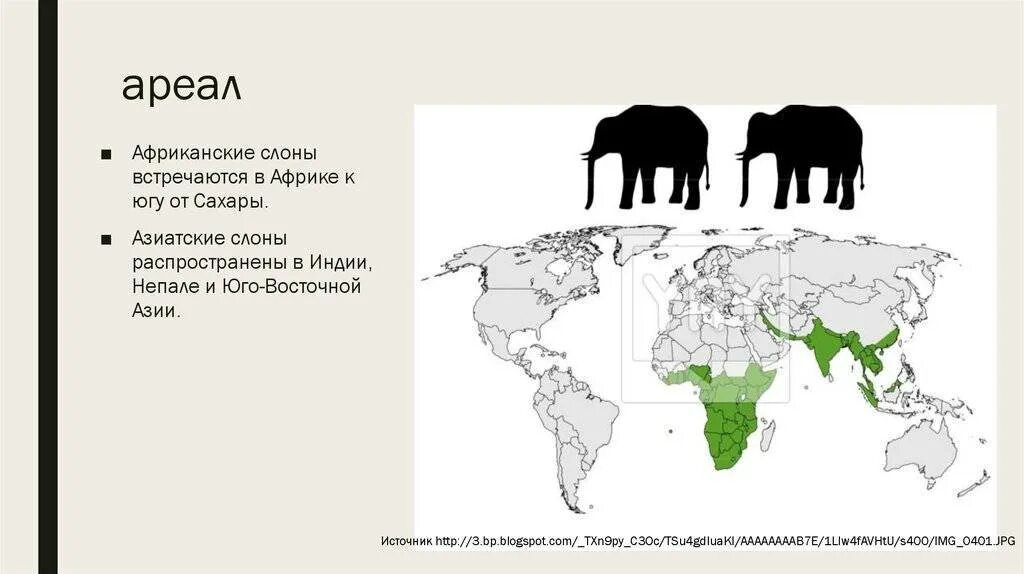 Ареал индийского слона. Ареал обитания африканского слона. Ареал обитания африканского слона карта. Африканские слоны ареал обитания. Где обитает слон материк