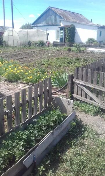 Село татарка черлакский район. Большой Атмас Черлакского района Омской области. Питомник большой Атмас Черлакского района. Татарка Черлакский район. Татарка Омская область Черлакский район.