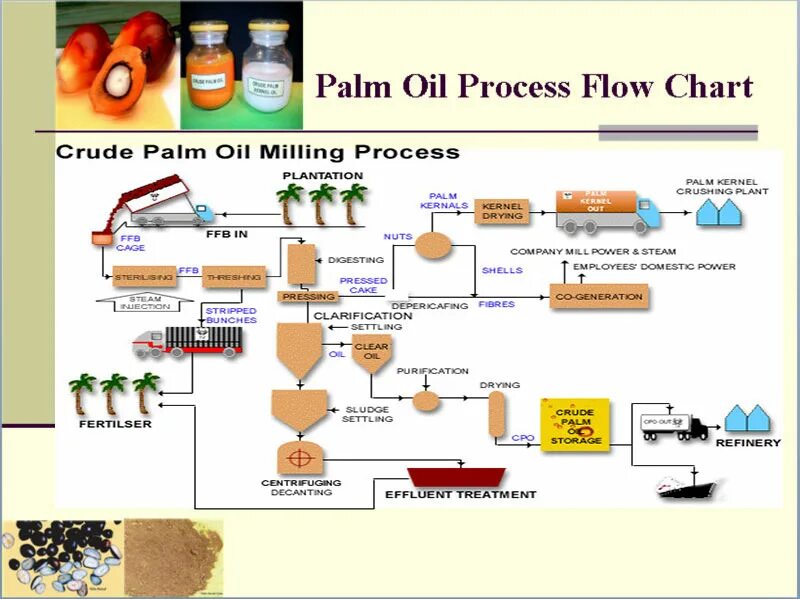 Oil processing. Схема производства пальмового масла. Производители пальмового масла. Palm Oil refinery process. Стадии переработки пальмового масла.