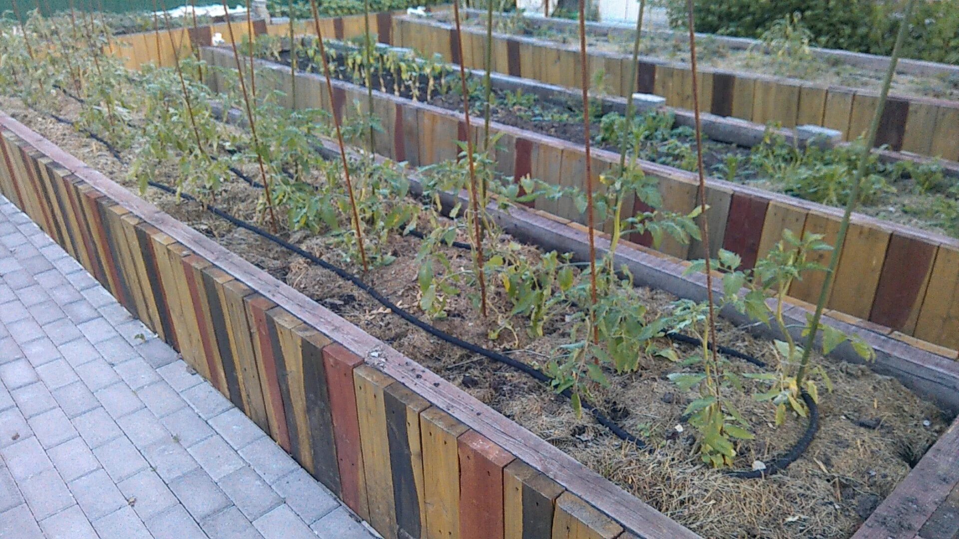 Теплая грядка для земляники. Теплые грядки зимой. Теплая грядка траншея. Компостная грядка. Дренаж для высоких грядок.