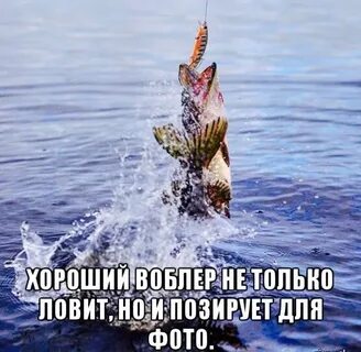 Мысли рыбака