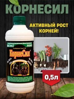 5 20 в корне
