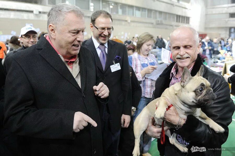 Губкин выставка собак