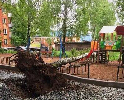 Участок глазов