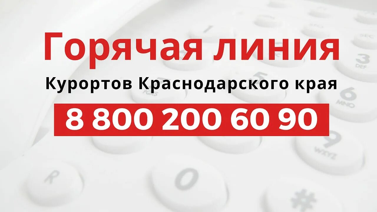 Номера горячих линий краснодара