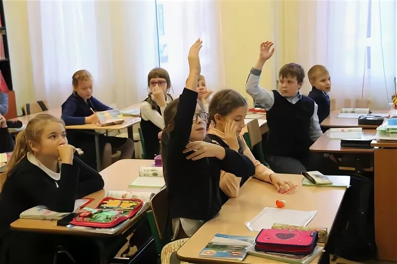 школа 575 приморского района санкт-петербурга. 595 школа спб приморский район. школа 117 выборгского района. образовательные учреждения спб. школа 690 русановская.