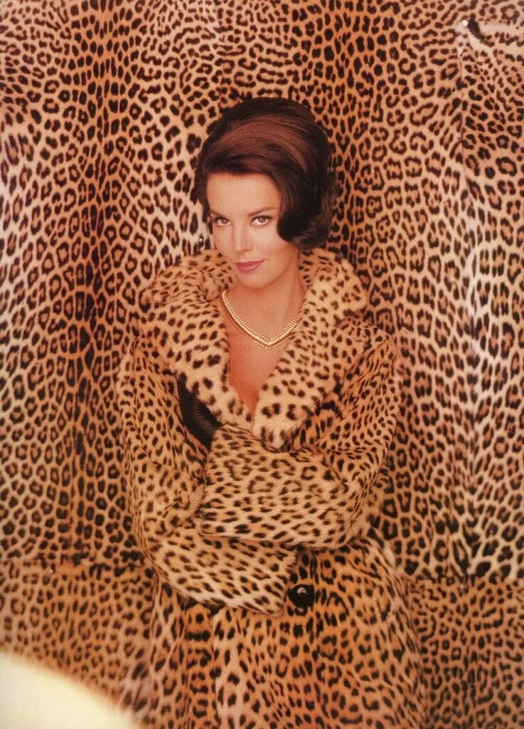 Женщины в леопардовом зоопарке. Леопардовая шуба Софи Лорен. Женщина в леопардовом. Женщина леопард. Леопардовое платье из 90-х.