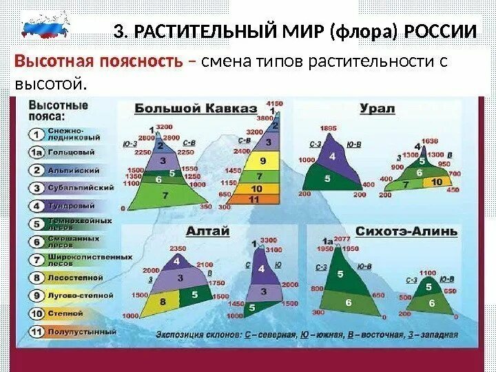 Высотная поясность это природная зона. Высотная поясность. Высотная поясность России. Высотные пояса. Типы ВЫСОТНОЙ поясности.