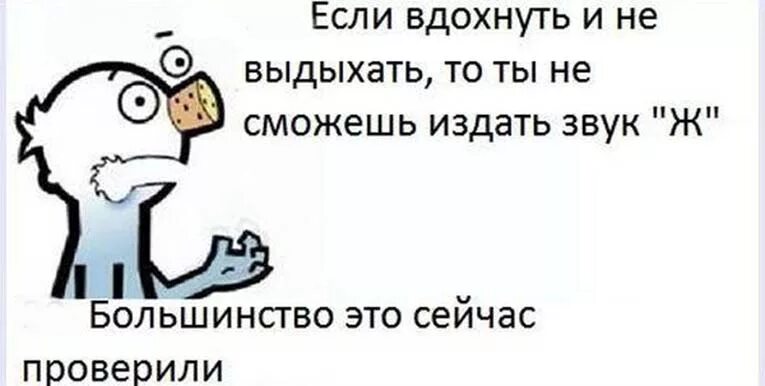 интересные факты о человеке смешные. интересные факты оч еловнке. мифы и факты. интересные факты. интересные факторы человека.