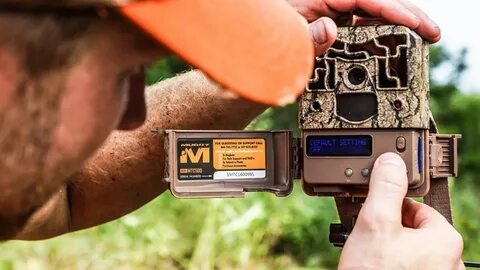 Trail camera