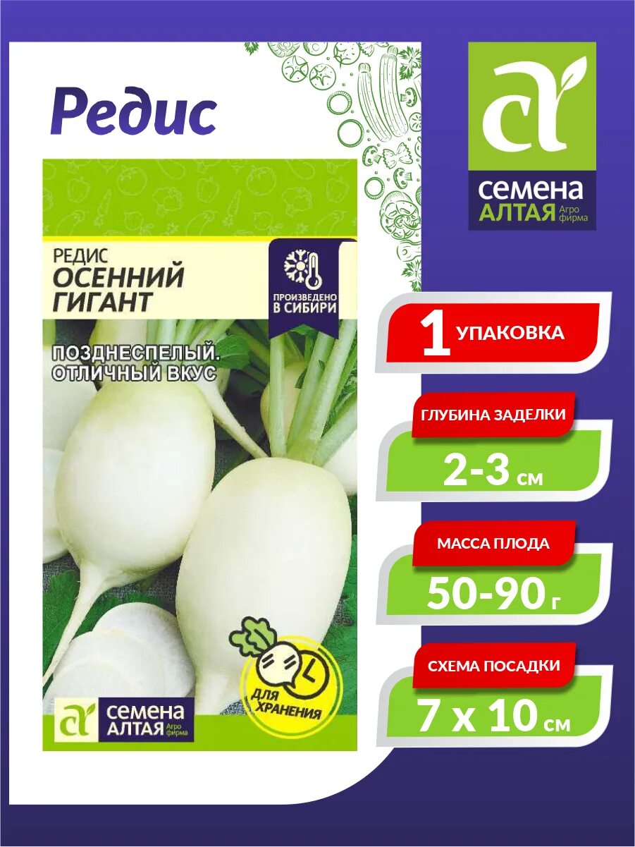 Редис осенний гигант. Редис гигант. редька осенний гигант. редис великан фото.