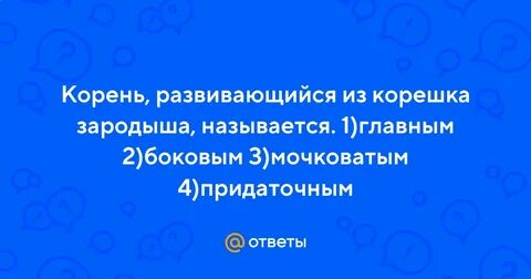 Корень развивающийся из корешка зародыша называют