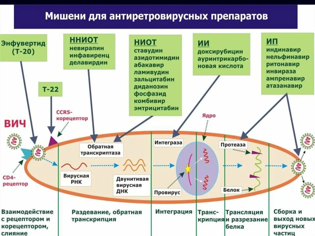 И т д в итоге. Механизм действия антиретровирусных препаратов. Препараты антиретровирусной терапии ВИЧ. Схемы антиретровирусной терапии ВИЧ. Механизм действия противоретровирусных препаратов.