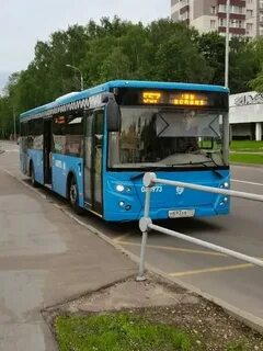 557 сочи расписание