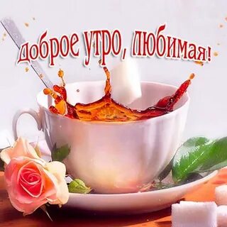 Пожелания с добром утром любимой девушке