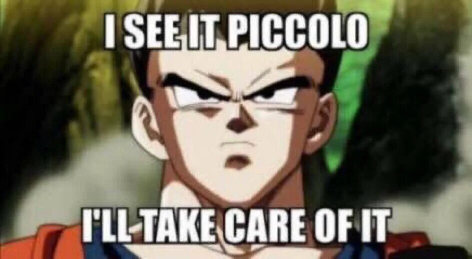 See it. I see it. Piccolo do you see it meme. I make it i take it meme. Take care of this