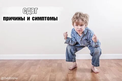 Проспекта сдвг отзывы