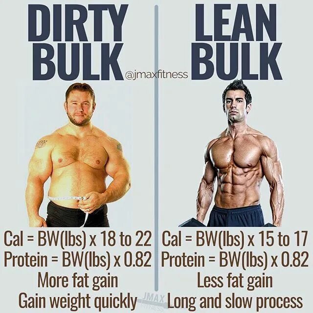 T me bulk accounts сша. Dirty bulk. bulk фитнес. bulking в фитнесе. lean bulk.